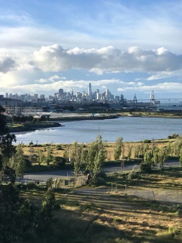 cityview from Dojo San Francisco